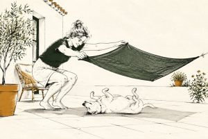 Witte kortharige hond op de rug in de zon, baasje schuift een schaduwdoek over hem